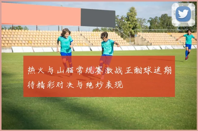 热火与山猫常规赛激战正酣球迷期待精彩对决与绝妙表现