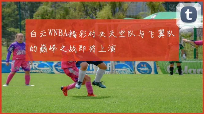 白云WNBA精彩对决天空队与飞翼队的巅峰之战即将上演